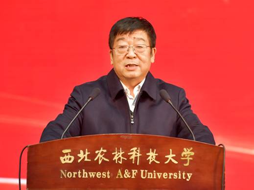 tapplay官网